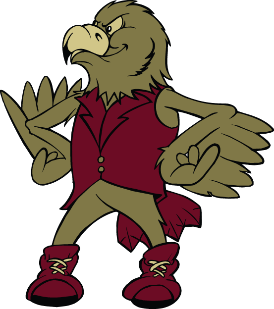 Denver Pioneers 1999-2003 Mascot Logo iron on transfers for fabric